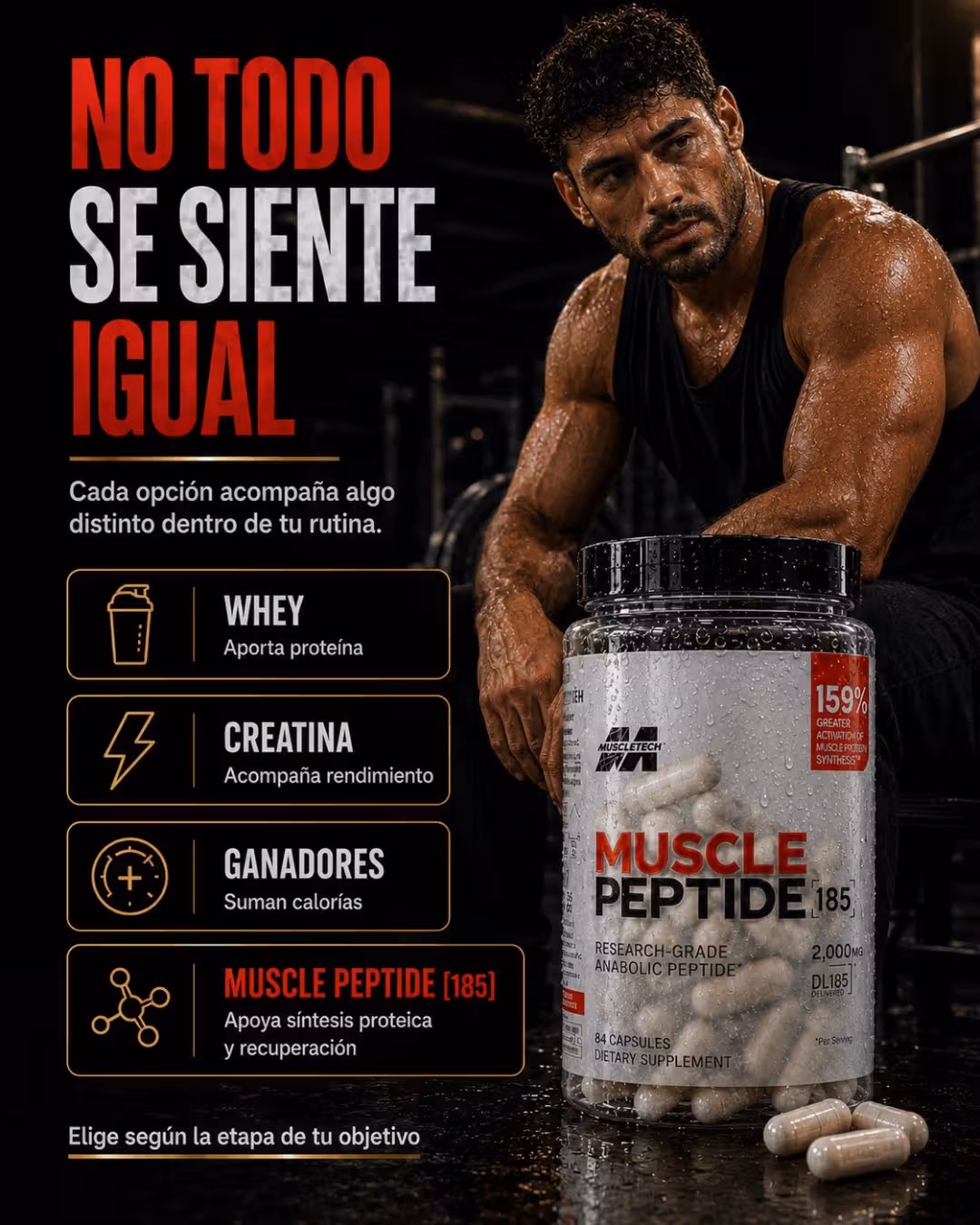 MUSCLE PEPTIDES 4